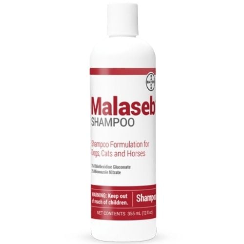 Shampoo For Your Pet Which to Use and NOT Use Preventive Vet